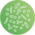 icon bifidobacteria
